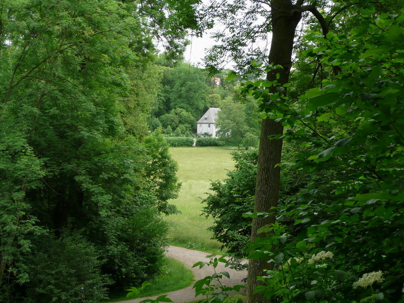 Thüringer Wald 2012
