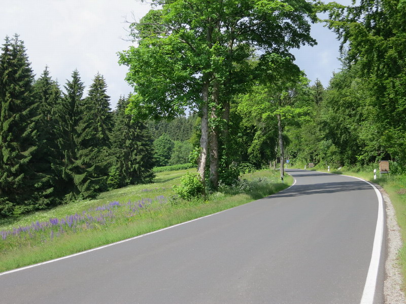 Thüringer Wald 2012