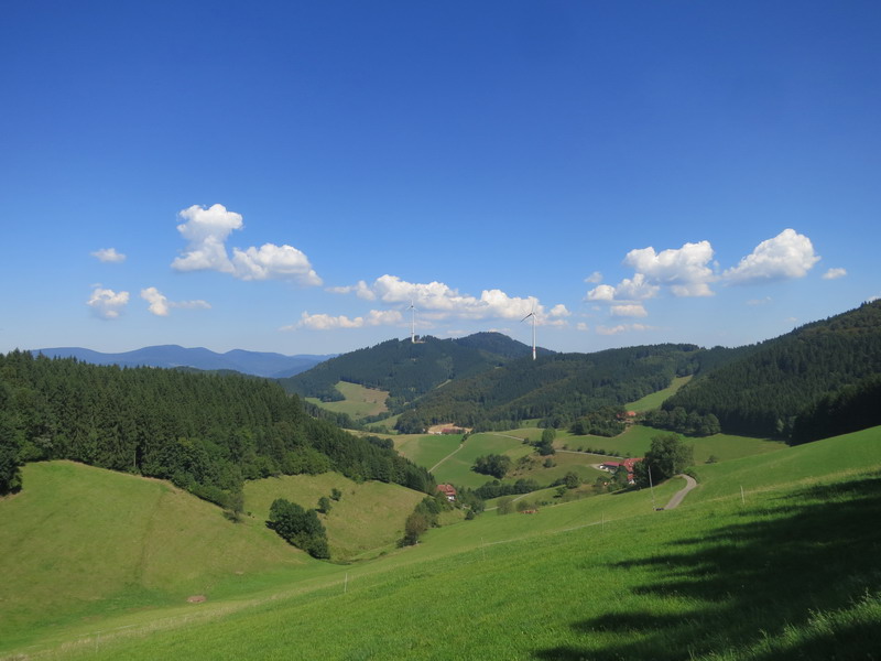 Schwarzwald 2016